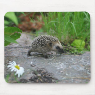 Hedgehog mousepad - customizable