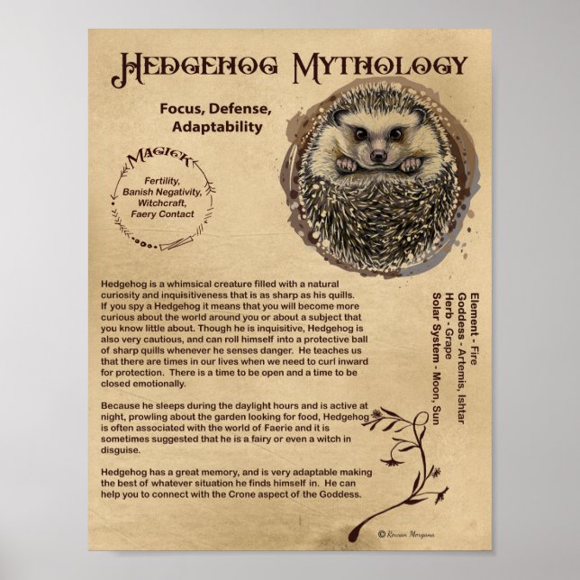 HEDGEHOG MYTHOLOGY POSTER (Front)