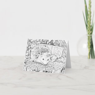 Hedgehog note card