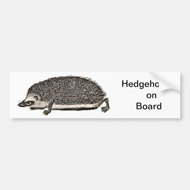 Hedgehog on Board - BUMPER STICKER (Front)
