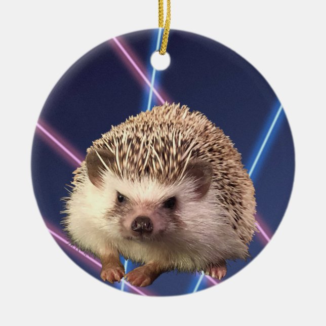 Hedgehog Ornament (Front)