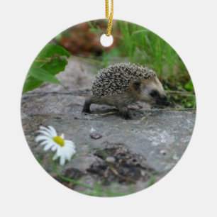 Hedgehog ornament - customizable