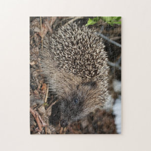 Hedgehog Photo Puzzle