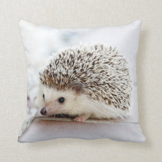 Hedgehog Pillow