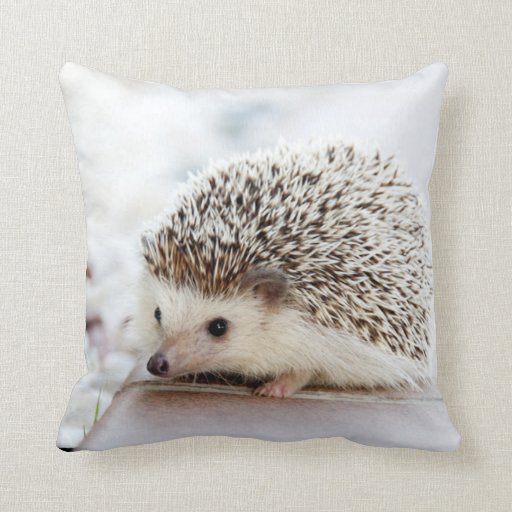 Image of Hedgehog Pillow