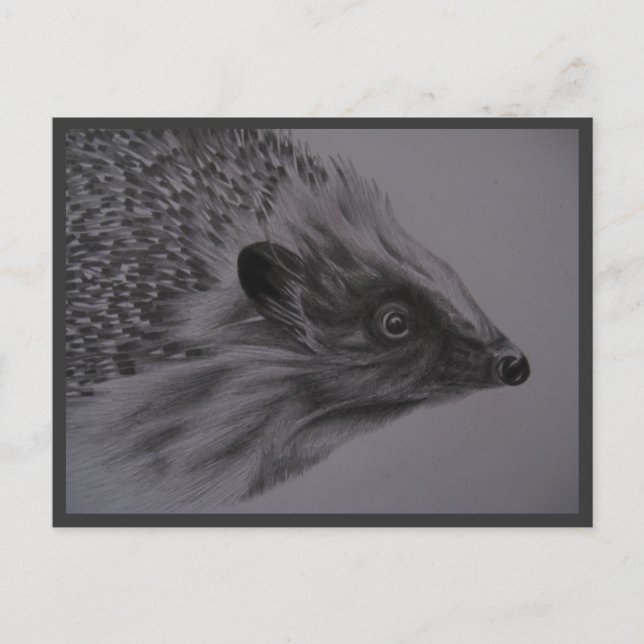 Hedgehog Postcard (Front)