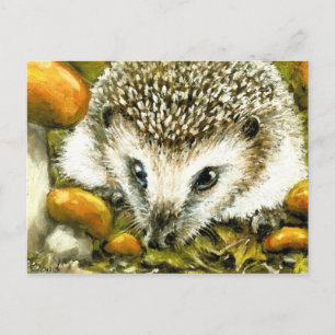 Hedgehog postcard