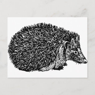 Hedgehog Postcard