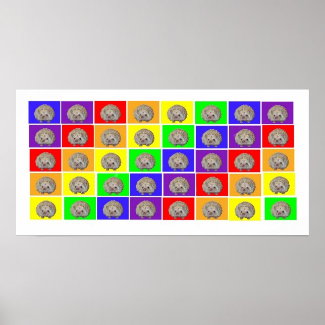 Hedgehog Rainbow Poster (Front)