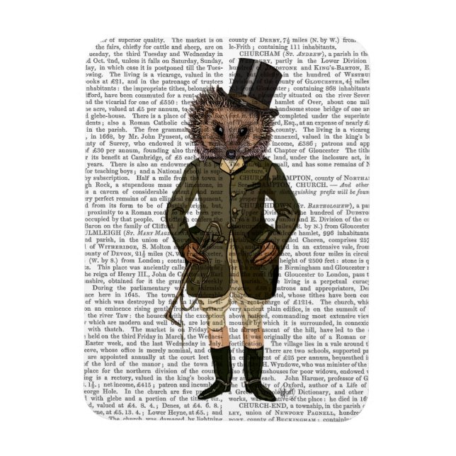 Hedgehog Rider Full Magnet (Vertical)