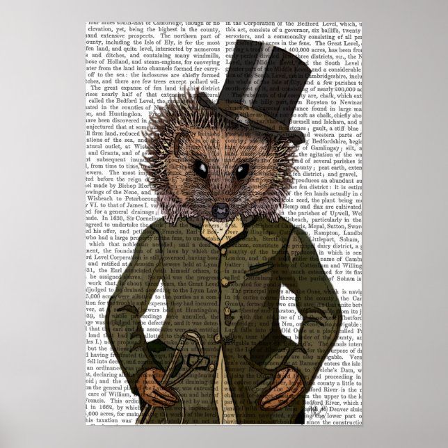 Hedgehog Rider Portrait Poster (Front)