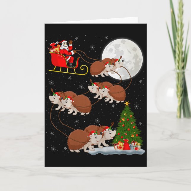 Hedgehog Santa Sleigh Flying Funny Magical Christm Card (Front)