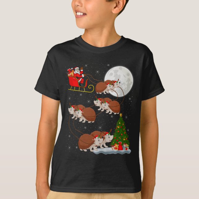 Hedgehog Santa Sleigh Flying Funny Magical Christm T-Shirt (Front)