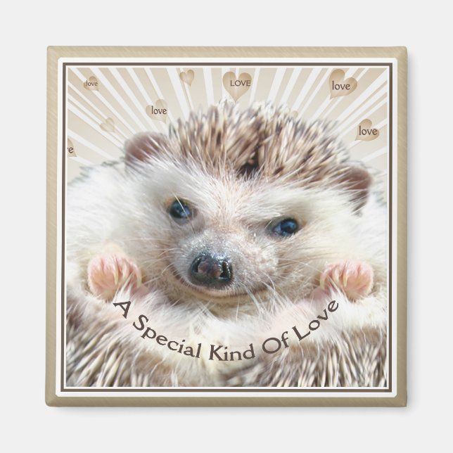 hedgehog special kind of love magnet (Front)