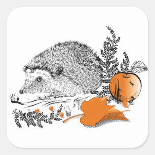 Hedgehog Square Sticker