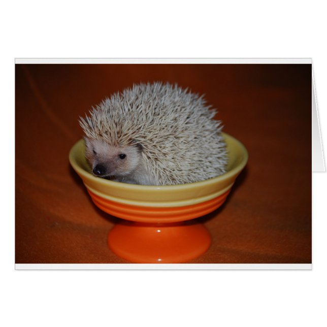 Hedgehog Sundae (Front Horizontal)