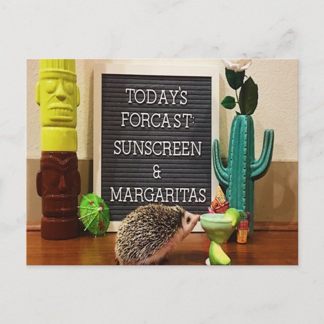 Hedgehog Sunscreen and Margaritas Postcard (Front)