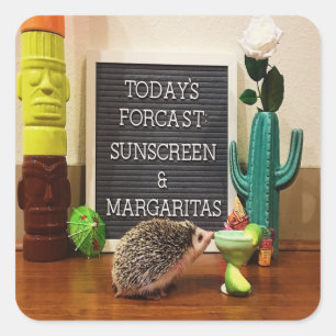 Hedgehog Sunscreen and Margaritas Square Sticker