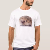 Hedgehog,