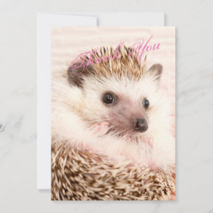 Hedgehog Thank You Card