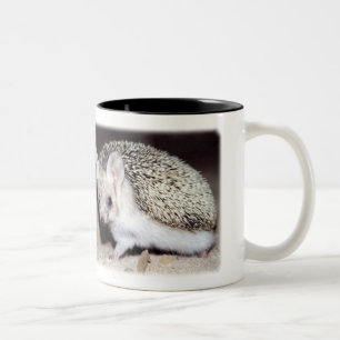 Hedgehog - The Spiny Mammal Two-Tone Coffee Mug