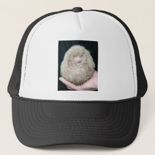 Hedgehog Trucker Hat