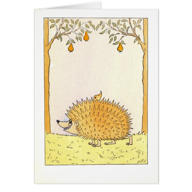 "Hedgehog - Vintage Illustration (Front)
