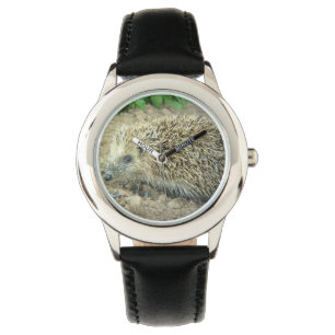 Hedgehog Watch