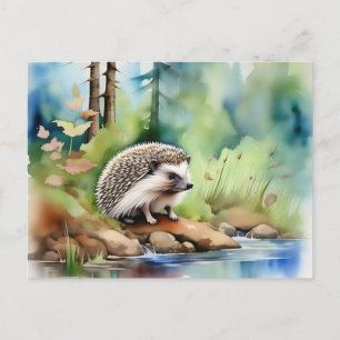 Hedgehog Watercolor Cute Postcard