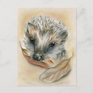 Hedgehog with Autumn Leaves Postcard