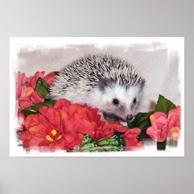 Hedgehog With Orange Flowers Poster (Front)