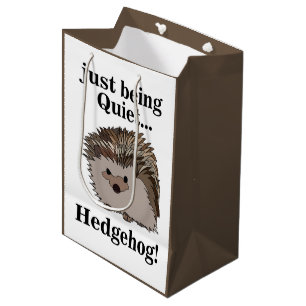 Hedgehog Woodland Animal Birthday Party Medium Gift Bag