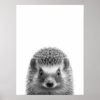 Hedgehog Woodland Modern Portrait black white