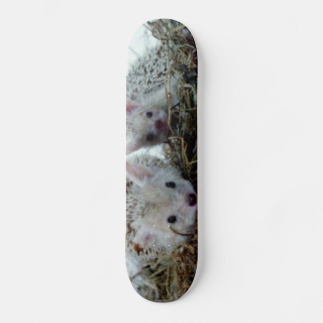 Hedgehogs as Pets Skateboard (Front)