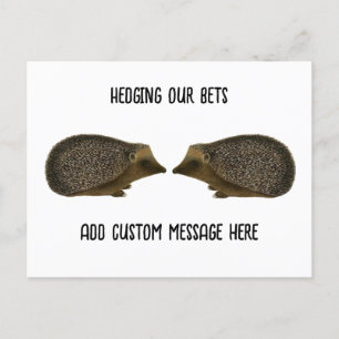 Hedgehogs getting married - Funny Hedgehog wedding Postcard