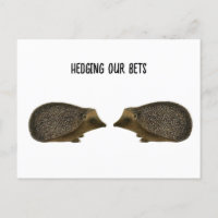 Hedgehogs getting married - Funny Hedgehog wedding