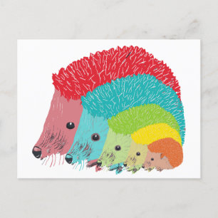 Hedgehogs Postcard