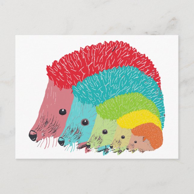 Hedgehogs Postcard (Front)