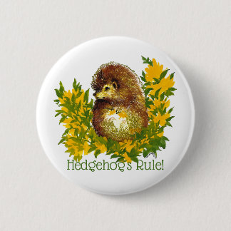 Hedgehog's Rule Fancy Cute Lapel Shirt Jacket 6 Cm Round Badge