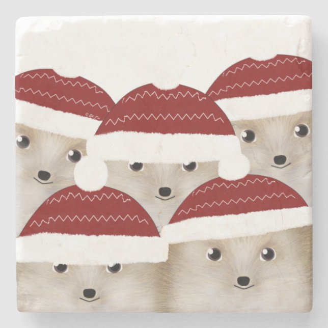 Hedgehogs Stone Coaster (Front)