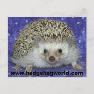 hedgehogworld postcard