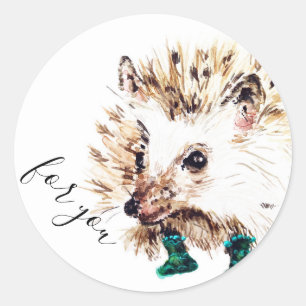 Hedgie in Socks Classic Round Sticker