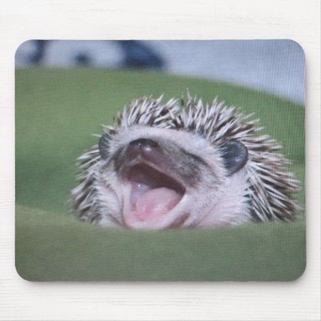 hedgy mouse mat (Front)