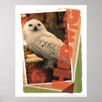 Hedwig 1