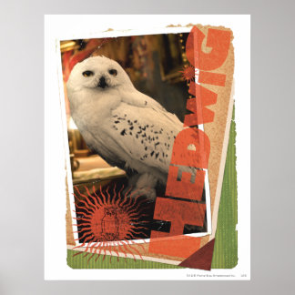 Hedwig 1 poster