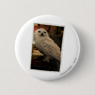 Hedwig 3 6 cm round badge