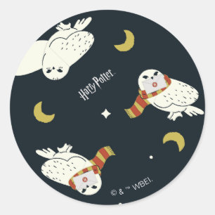 Hedwig Nighttime Moonlight Pattern Classic Round Sticker