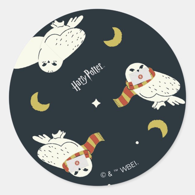Hedwig Nighttime Moonlight Pattern Classic Round Sticker (Front)