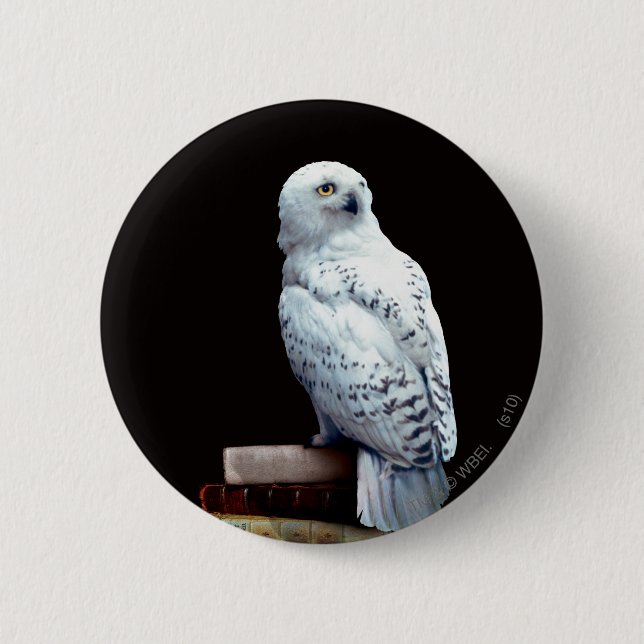 Hedwig on books 6 cm round badge (Front)