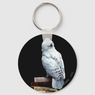 Hedwig on books key ring